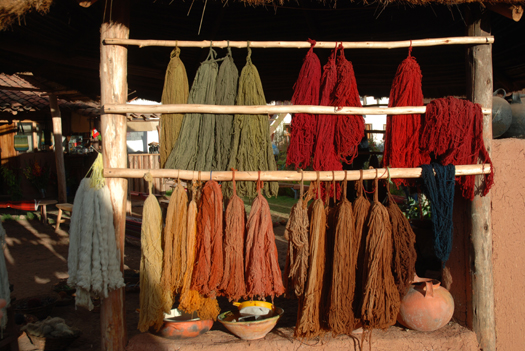 Making Natural Dyes from Plants