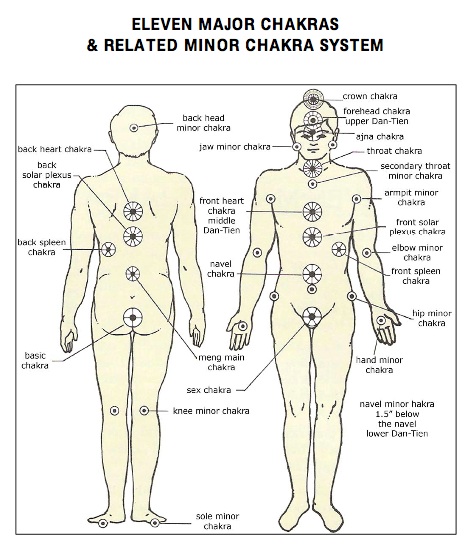 Chakras and Flowers