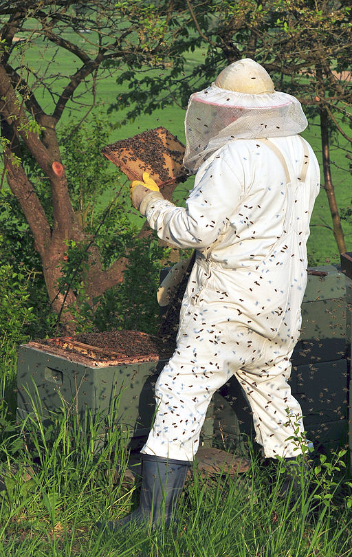 Homestead Essentials Value Beekeeping Suit