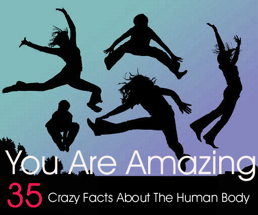 You Are Amazing: 35 Crazy Facts About The Human Body