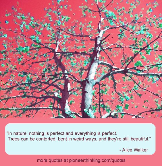In Nature - Alice Walker