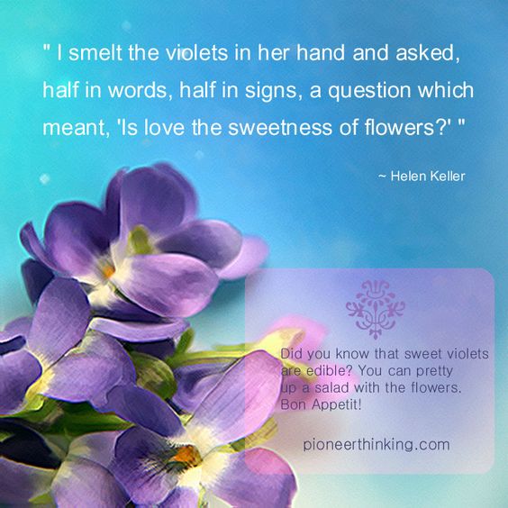 I Smelt The Flowers - Helen Keller
