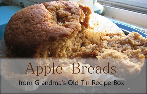 Apple Breads from Grandma’s Old Tin Recipe Box