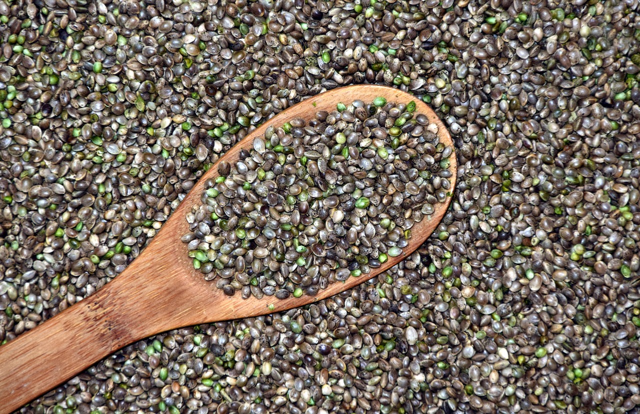 Hemp Seeds, One of The Ways to Rebalance and Detox Your Body