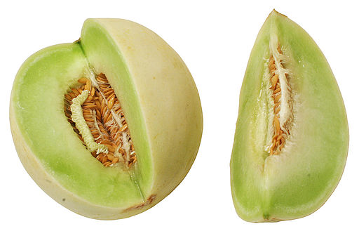 How to Know When to Pick a Honeydew Melon