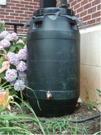 Is it Safe to Drink Water from Rain Barrels?