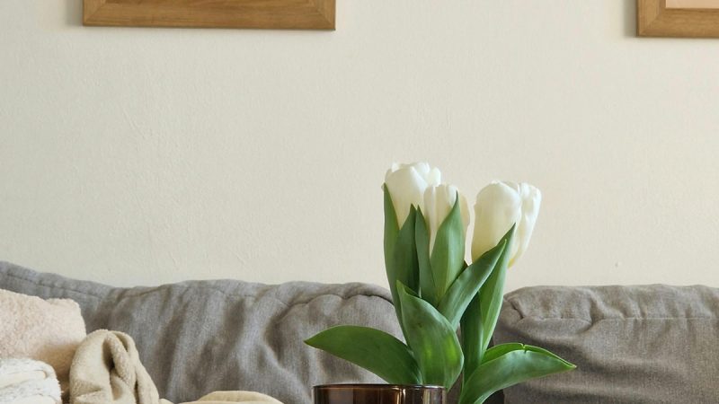 Living with The Seasons