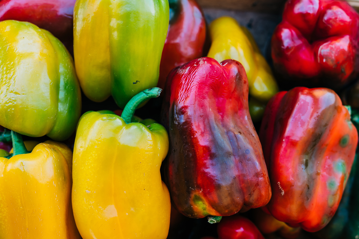 Peppers: A Staple Harvest for Pioneers and Their Ingenious Methods of Preservation
