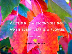 Second Spring - Albert Camus - Pioneerthinking.com
