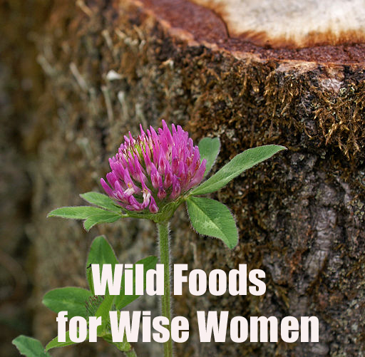Wild Foods for Wise Women