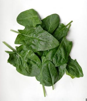 Spinach Nutrition Facts - Pioneerthinking.com