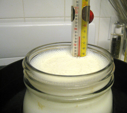 Yogurt Making