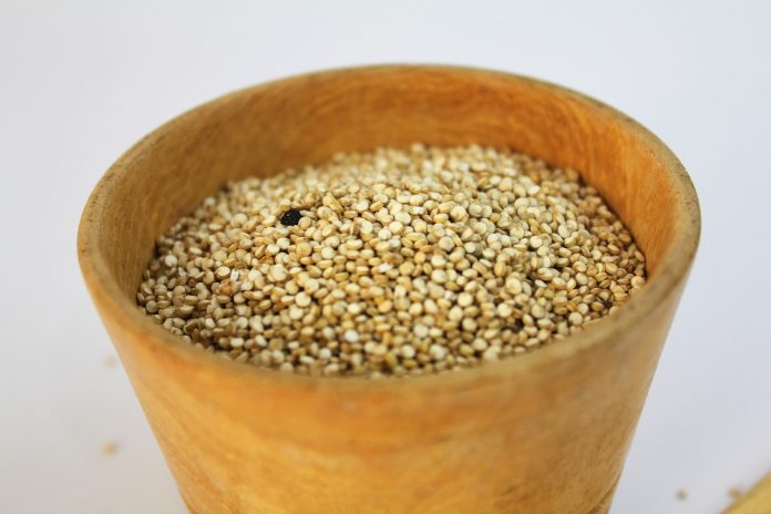 Amaranth is a High Protein Grain Suitable for All People