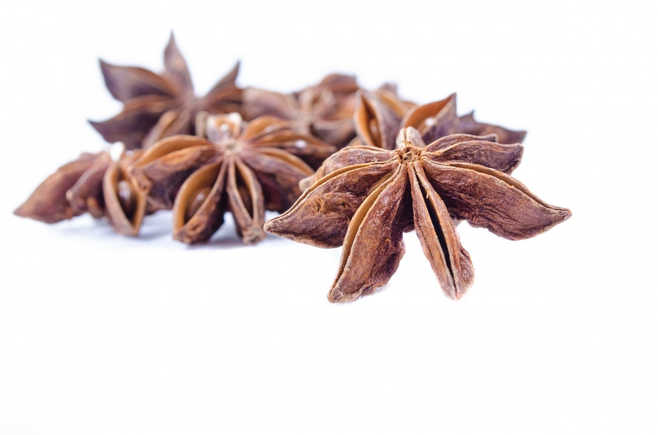 Aniseed: Culinary and Home Remedial Herb