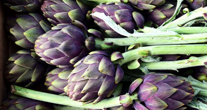 How Artichoke Extract Can Help You