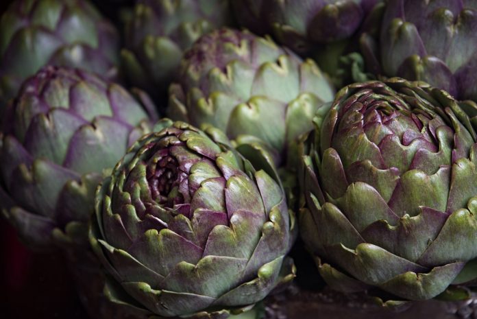 How to Grow and Manage Artichokes