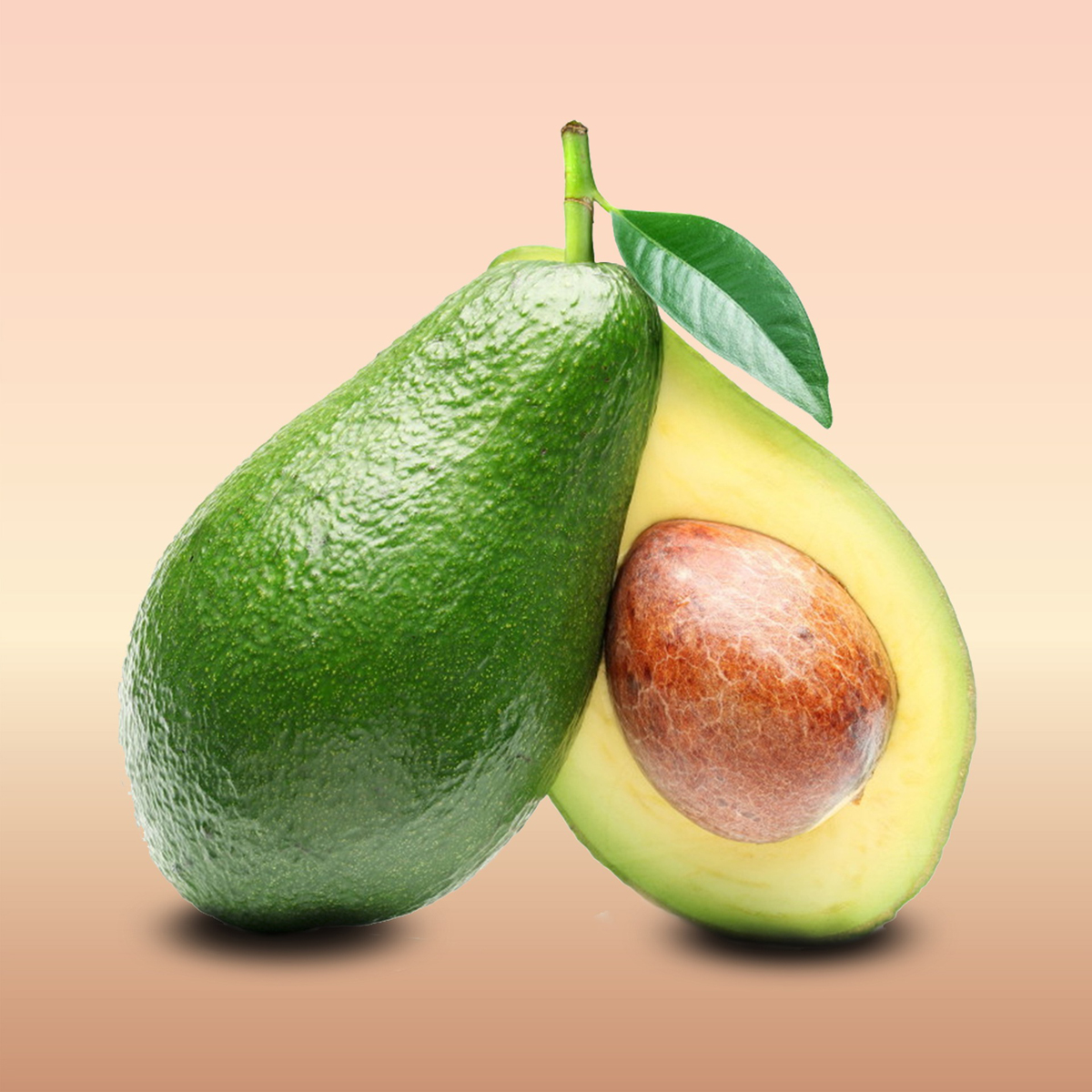 Avocado for Massage Oils