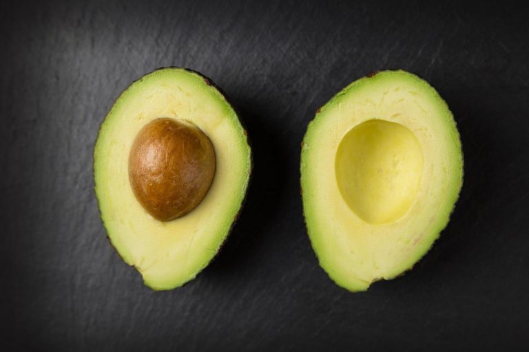 California Avocados vs Florida Avocados. Is There a Difference?