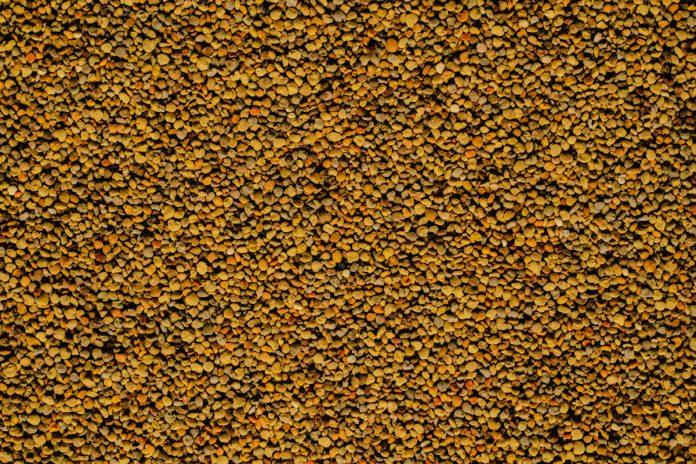 3 Reasons Why You Need Bee Pollen to be Refrigerated