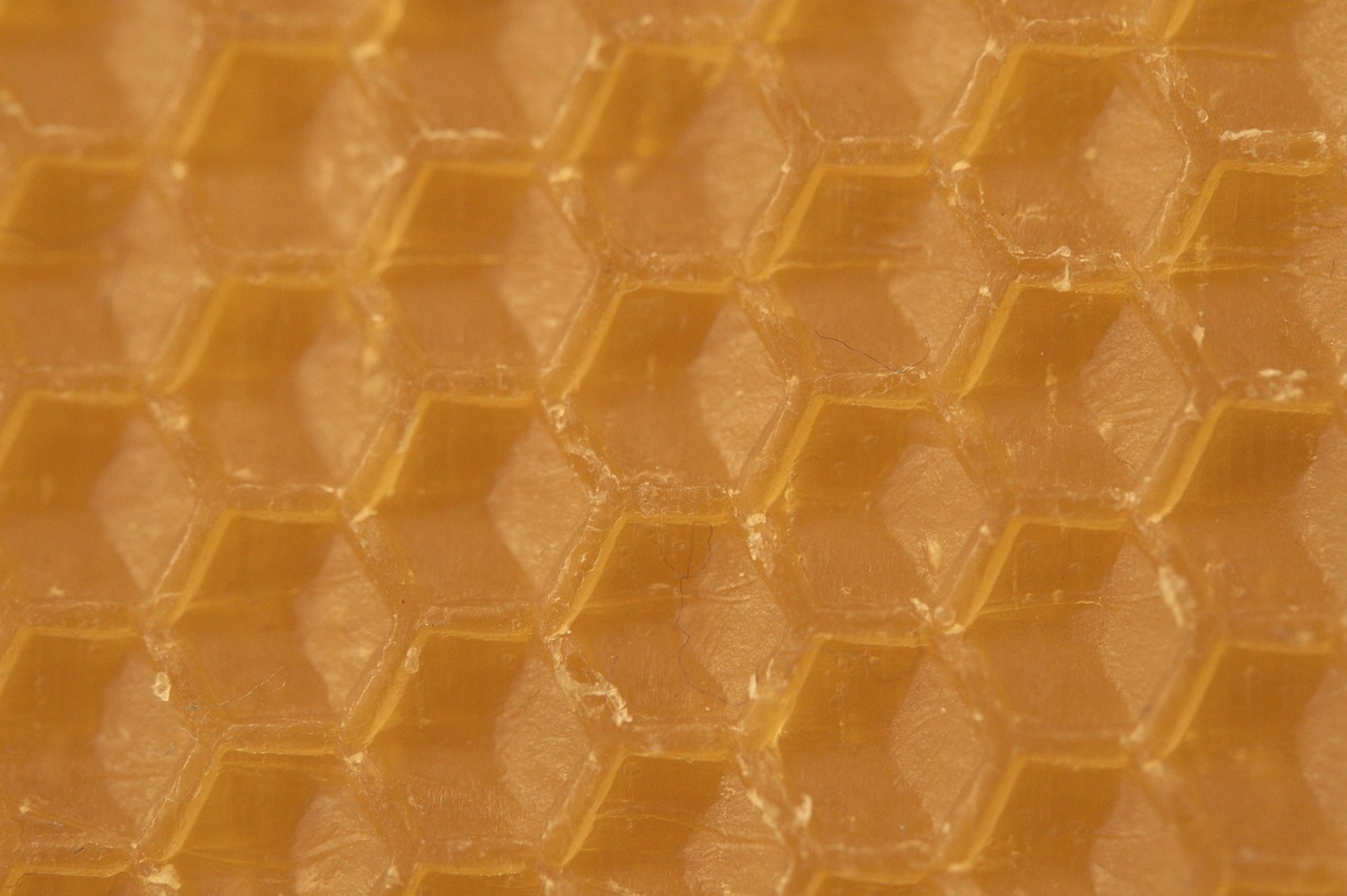 What is Beeswax?