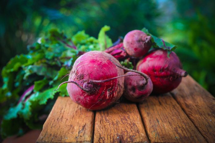 Beets: From Seed to Harvest