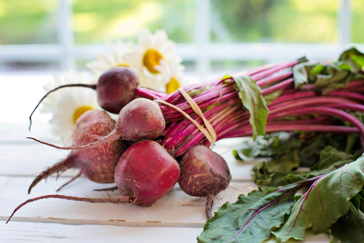 Greens and Roots from Organic Heirloom Beet Seeds