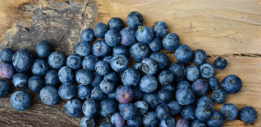 Blueberries in Winter