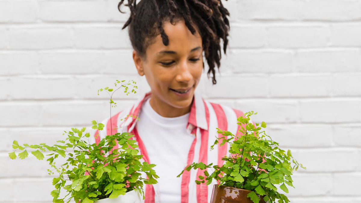 How Plants Improve Mental and Physical Wellness