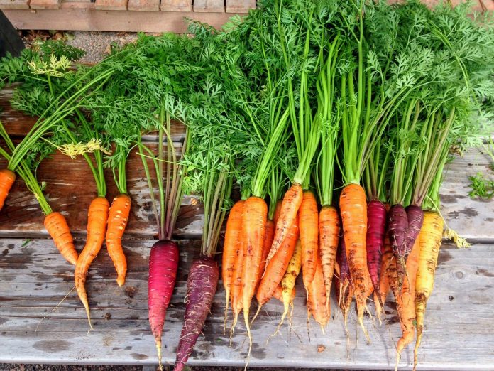 Top Health Benefits of Carrots