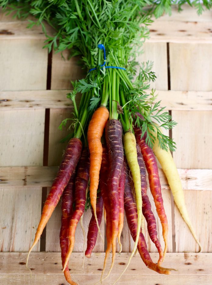 History and Health Benefits of Heirloom Carrot Seed