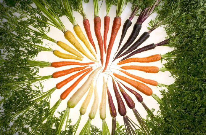 Sow Carrots, A Rainbow of Color