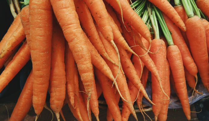Quick Tips for Harvesting and Storing Carrots