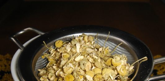 A Dab of Chamomile for Healthier Hair Regrowth