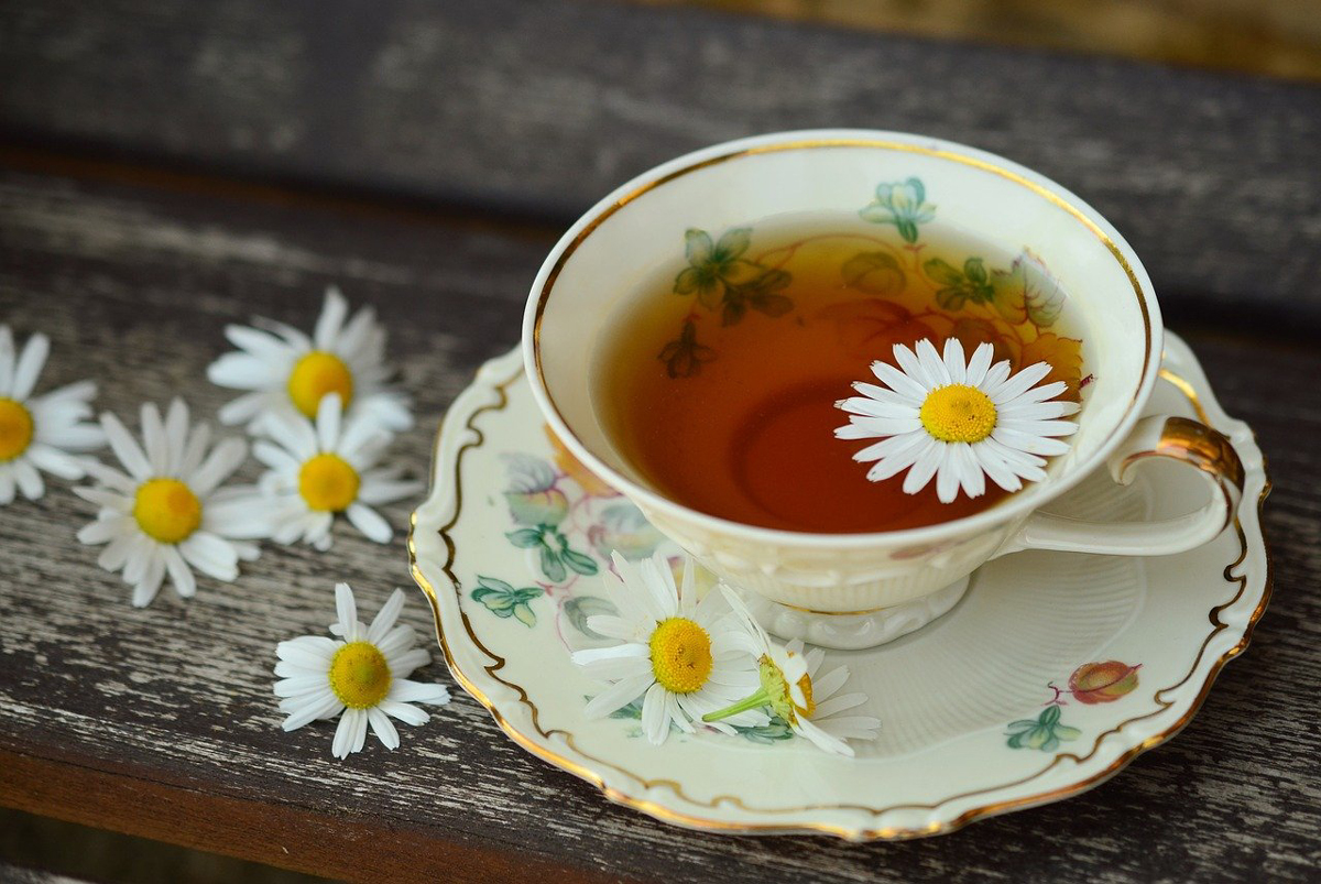 Chamomile Tea Benefits – Homemade Skin Care and More!