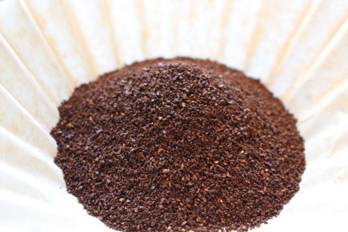 Discover How Coffee Grounds Can Perk Up Your Garden
