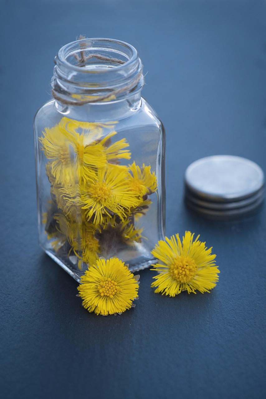 Banish Your Cough with Coltsfoot