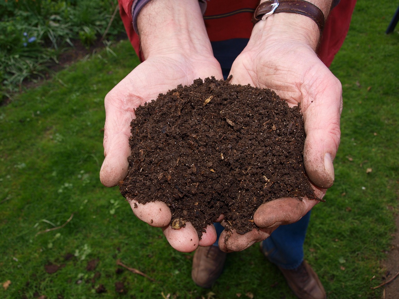 The Power of Natural Fertilizers and Soil Amendments for a Thriving Garden