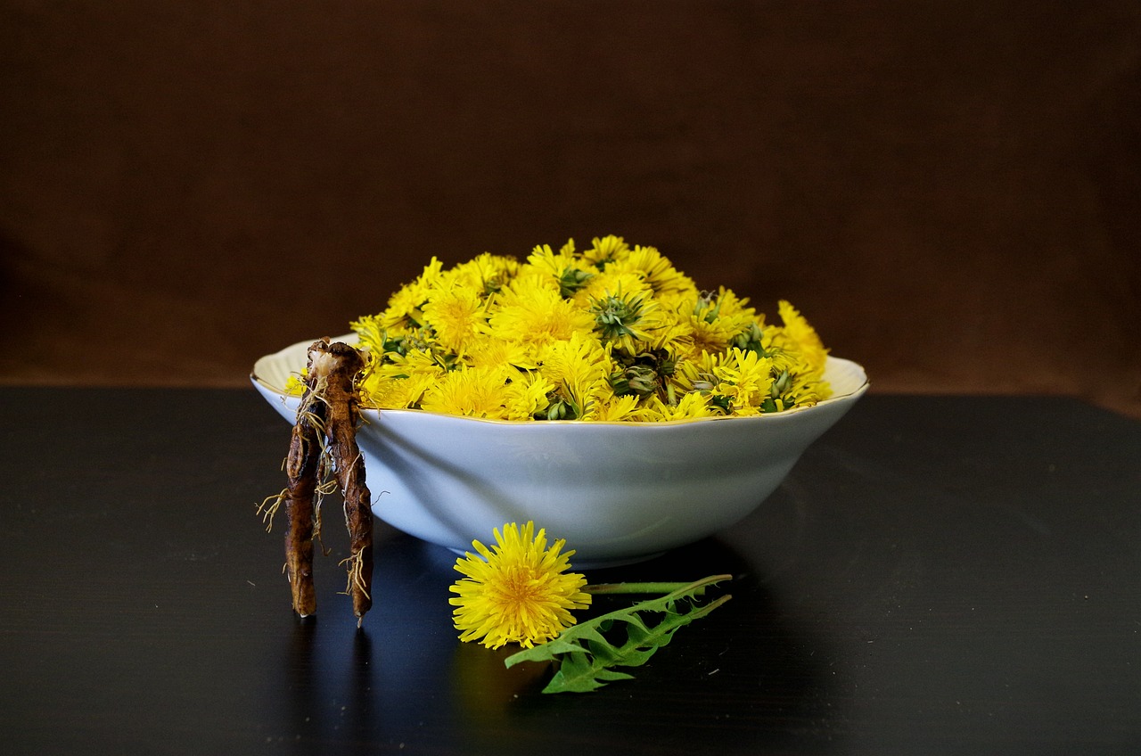 Delicious Dandelions: Recipes and Ways to Enjoy This Nutritious Weed