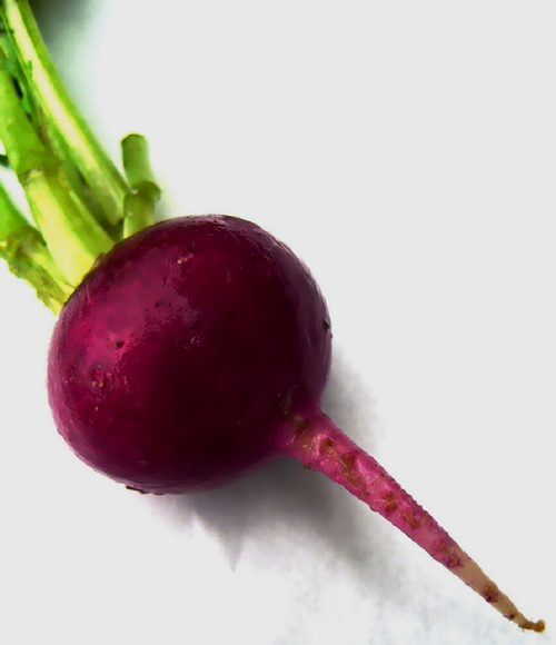 What Are the Benefits of Beetroot and How to Buy and Store it?