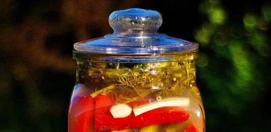 Recipe for Homemade Hot Garlic Dill Pickles