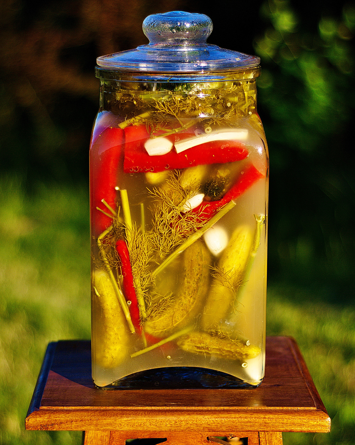 Recipe for Homemade Hot Garlic Dill Pickles