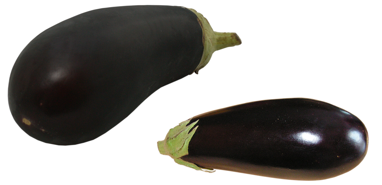 How to Grow Aubergines Alias Eggplants