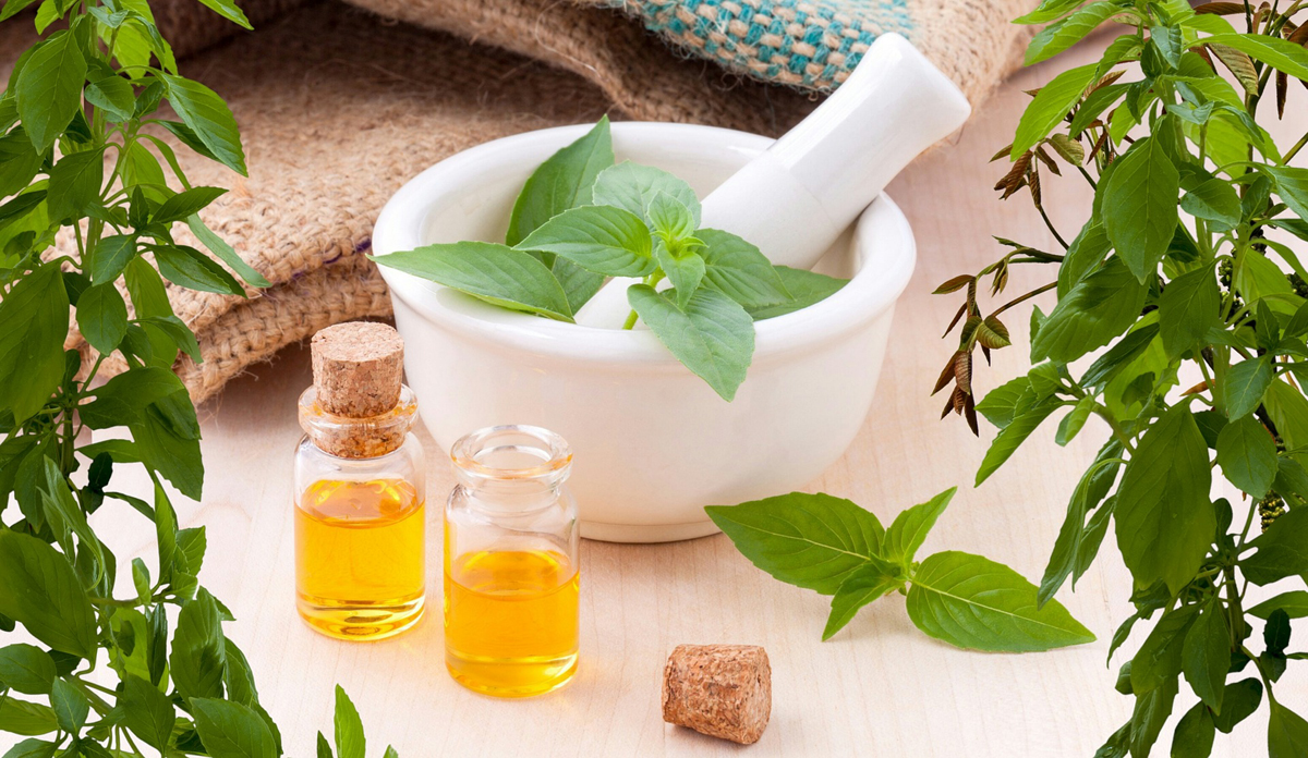 Using Essential Oils as Insect Repellents
