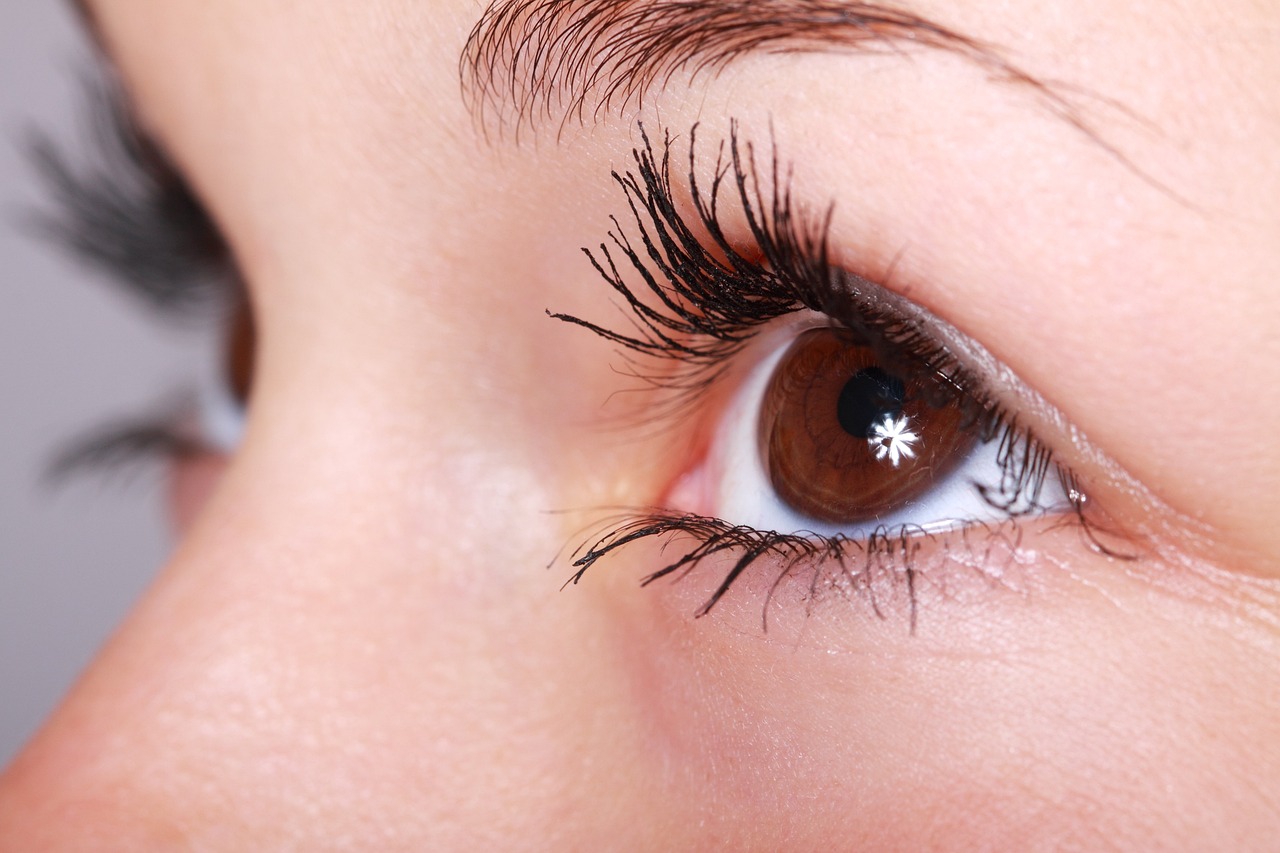5 Herbal Remedies That Treat Eye Disorders and Diseases
