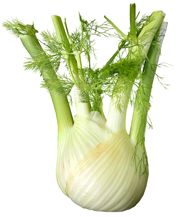 Fennel Health Benefits