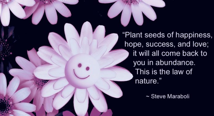 Plant Seeds of Happiness - Steve Maraboli