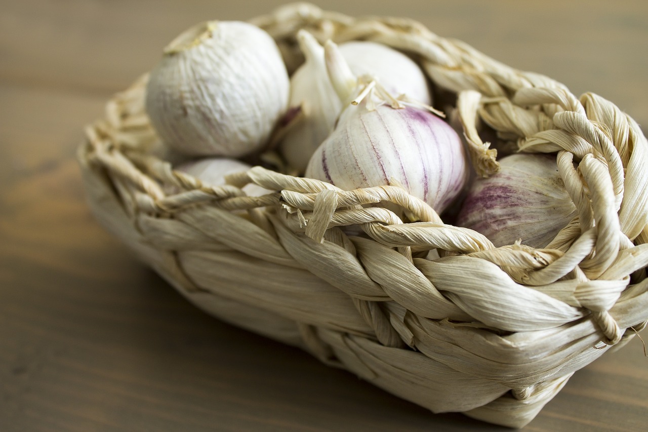 Garlic an Ancient Natural Medicine