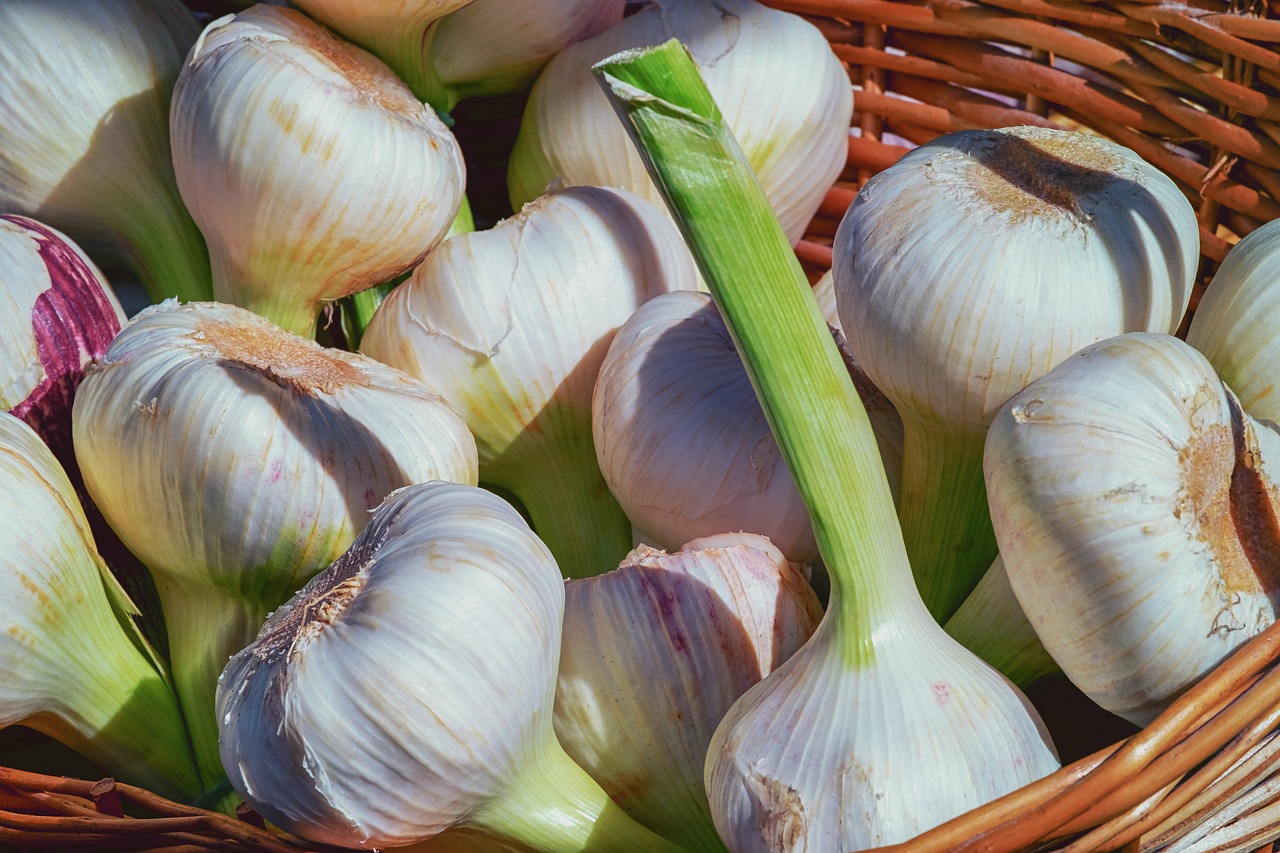 Garlic (Allium Sativum) is an All-In-One Vegetable, Herb and Medicinal Remedy