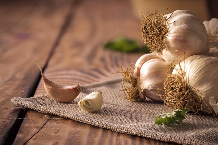 Gaining Health from Garlic