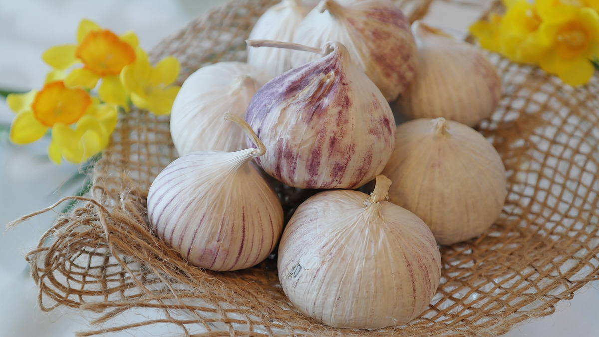 Do you Know The Health Benefits of Garlic?